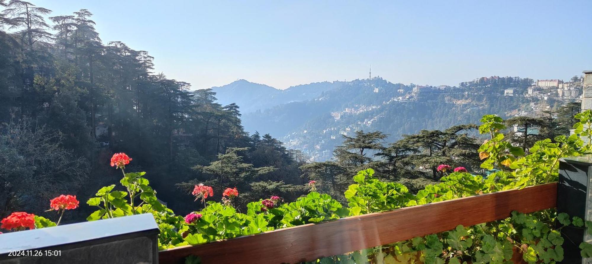 Marina- Shimla First Designer Boutique Hotel Buitenkant foto